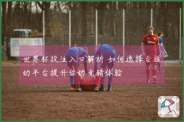 世界杯投注入口解析 如何选择合适的平台提升你的竞猜体验