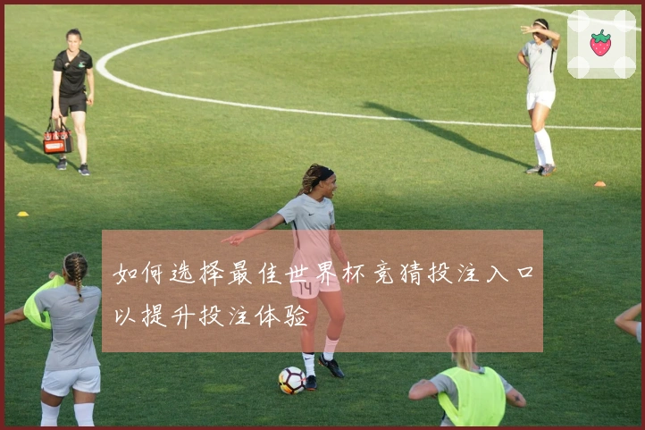 如何选择最佳世界杯竞猜投注入口以提升投注体验