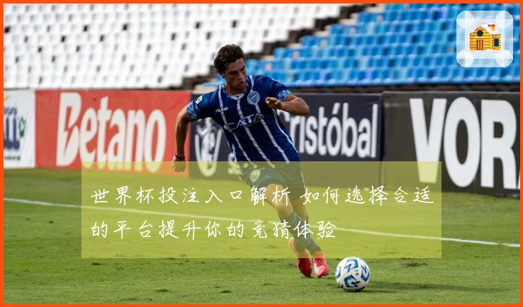 世界杯投注入口解析 如何选择合适的平台提升你的竞猜体验