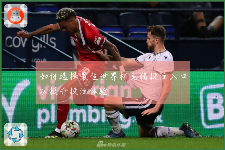 如何选择最佳世界杯竞猜投注入口以提升投注体验
