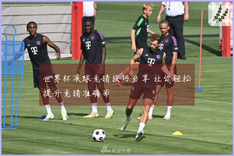世界杯滚球竞猜技巧分享 让你轻松提升竞猜准确率