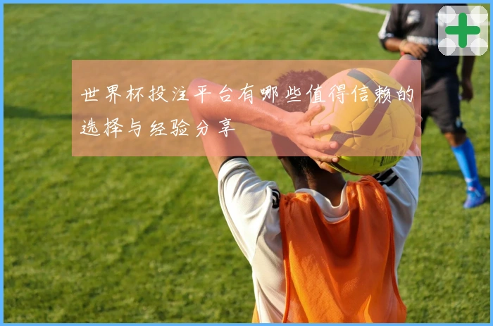 世界杯投注平台有哪些值得信赖的选择与经验分享