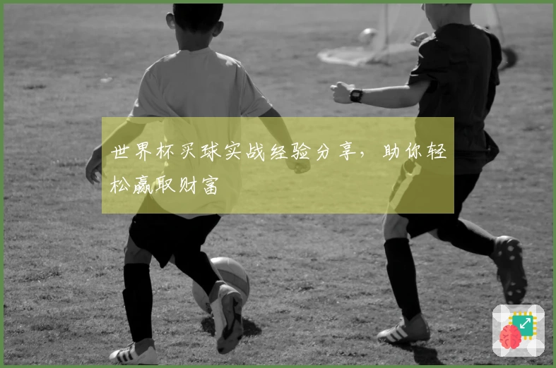 世界杯买球实战经验分享，助你轻松赢取财富