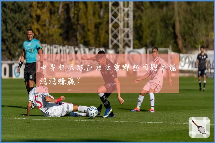 世界杯买球应该注意哪些问题才能稳稳赚赢？